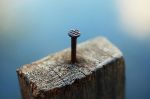 Nail and wood